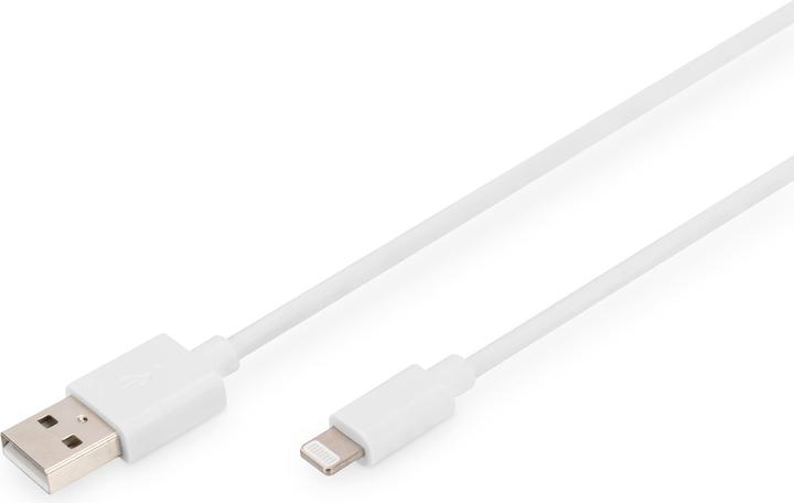 Actual product image Digitus DB-600106-010-W (1 m, USB 2.0)
