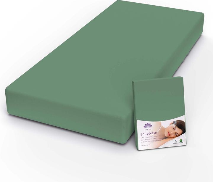 Produktbild Lotus Bettwaren Jersey Fixleintuch Souplesse (200 x 220 cm)