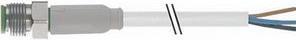 Actual product image Rs Pro M8 3P,M,free end,2M,Hygienic F&B