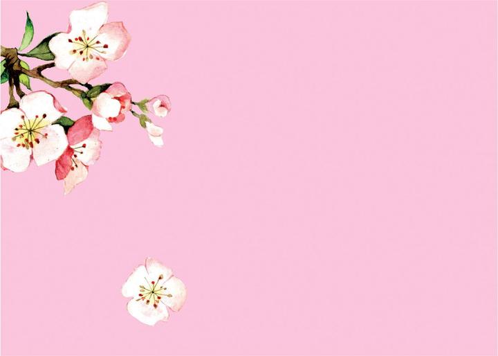 Immagine prodotto Cedon Set di cancelleria fiori di ciliegio.2037471 (100 pz.)
