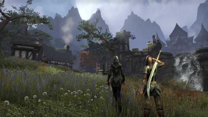 Immagine prodotto Bethesda The Elder Scrolls Online - Tamriel Unlimited (PS4)