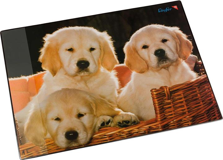 Läufer Hunde (53 x 40 cm)
