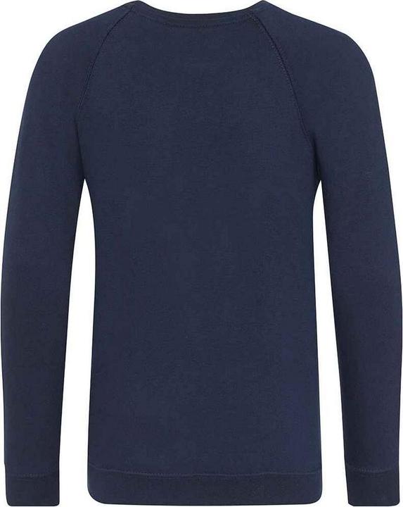 Actual product image Awdis Childrens/Kids Academy Raglan Sweatshirt (140)