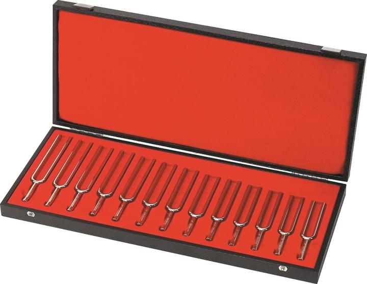 Actual product image Wittner Tuning fork set