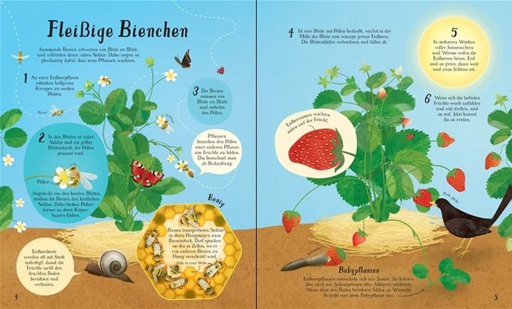 Produktbild So wächst unser Essen! (Deutsch, Emily Bone, 2018)