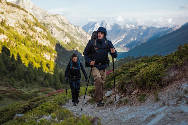 Image du produit Forclaz 1 POLE DE TREKKING MT 900 172316