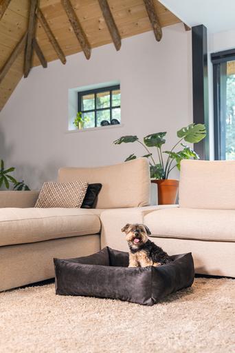 Actual product image Designed by Lotte Ribbed divan bed (Dog)