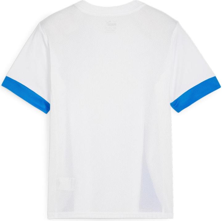 Actual product image Puma teamGOAL Matchday Jersey jr (152)