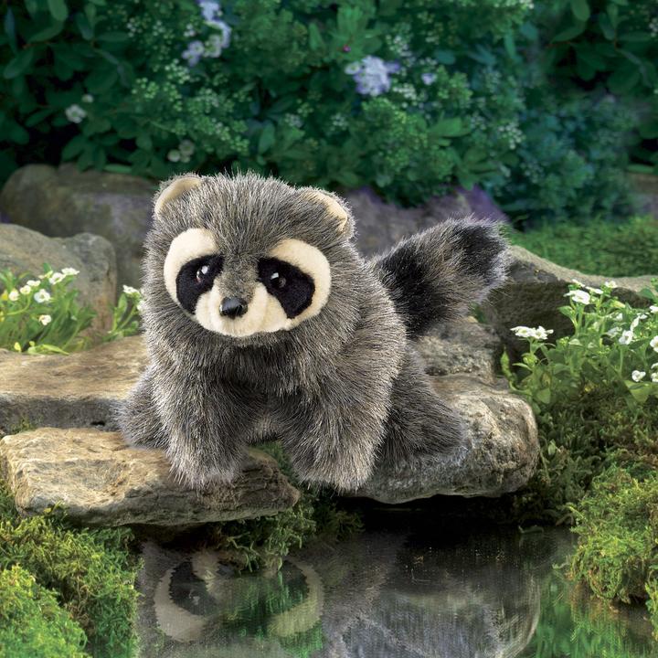 Actual product image Folkmanis Little raccoon