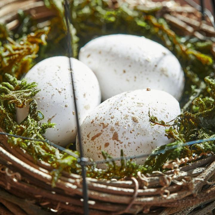 Immagine prodotto Loberon Nido con uova set di 4 Trista marrone/bianco