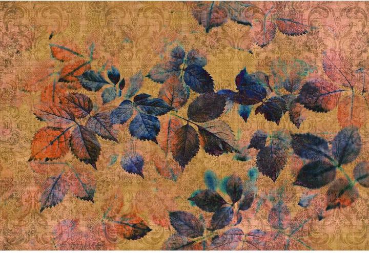 Image du produit Livingwalls Walls by Patel 2 été indien 2 (270 x 400 cm)