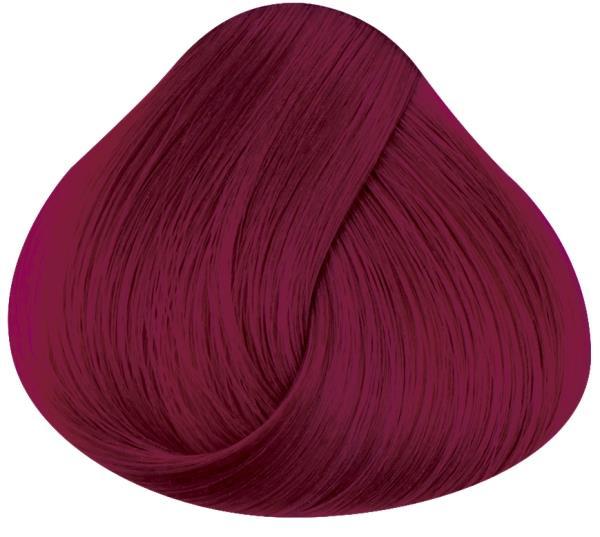 Produktbild Directions La Riche (Tulip)