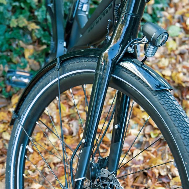 Actual product image SKS Bluemels Basic (Mudguard set)
