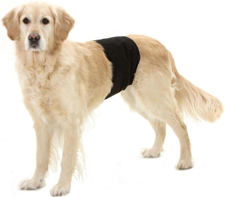 Image du produit Karlie Gentleman Wraps Plus (S, Combinaison pour chien)