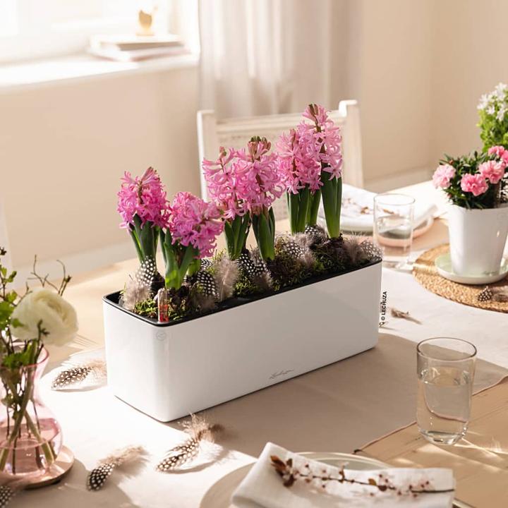 Produktbild Lechuza Cube Glossy Triple (14 cm)