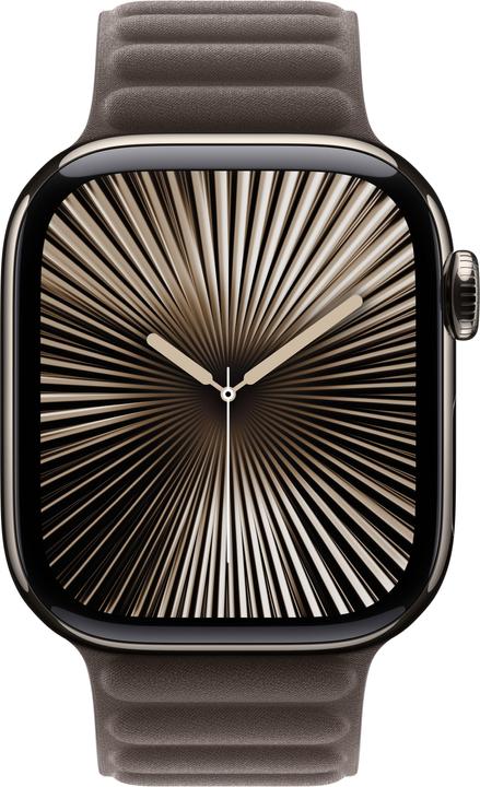 Produktbild Apple Magnetic Link Bracelet (42 mm, Feintwill)