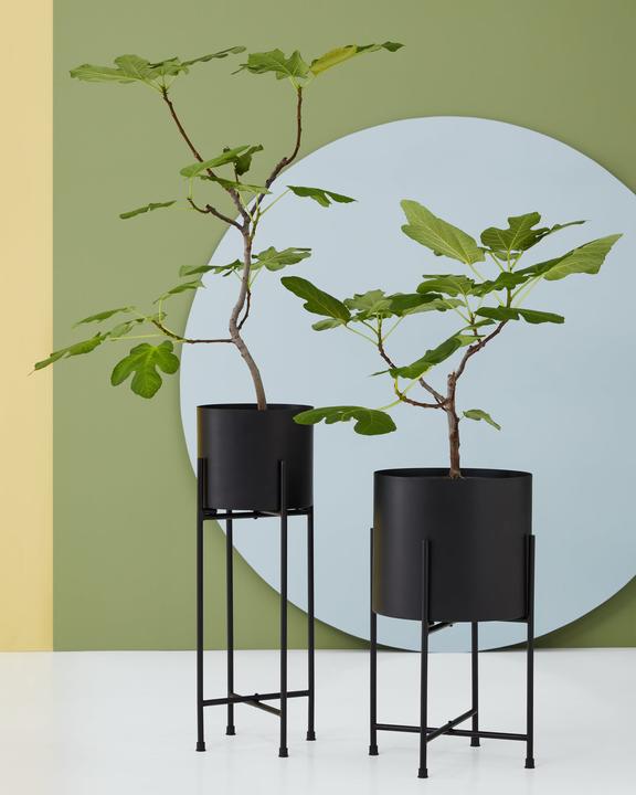 Immagine prodotto micasa Elea (24 cm)