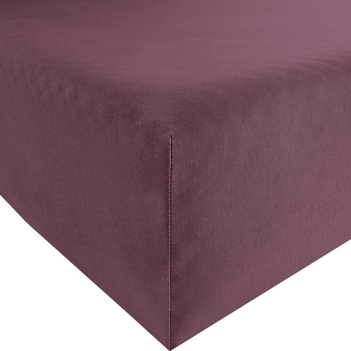 Aubergine
