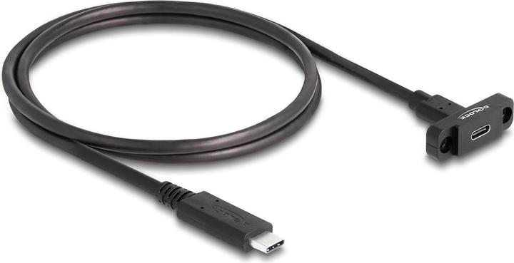 Image du produit Delock SuperSpeed USB 10 Gbps 1m à encastrer noir (1 m, USB 3.2 Gen 2)