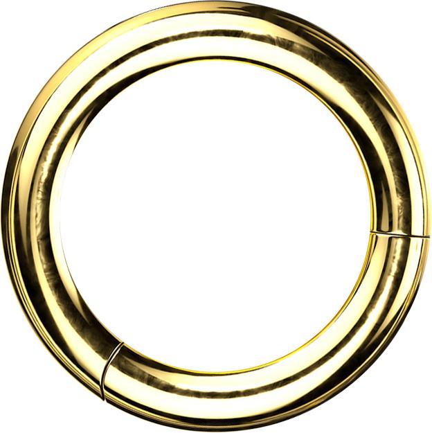 Star Piercing Segmentring klappbar vergoldet (ohne Messing, Titan G23)