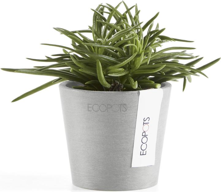 Actual product image Ecopots Amsterdam Mini (8 cm)