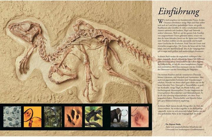 Actual product image Dinosaurier und andere Tiere der Urzeit für clevere Kids (German, DK Verlag - Kids, 2019)