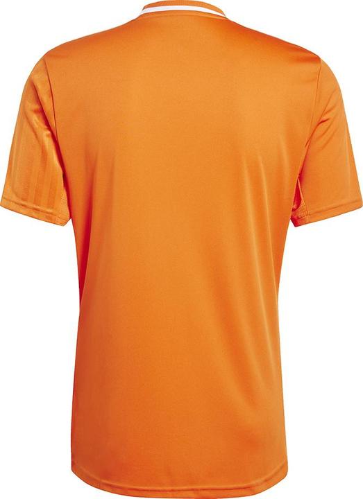 Actual product image adidas Campeon 25 jersey (XL)