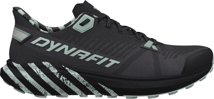 Dynafit Trail Graphic Laufschuh (42)