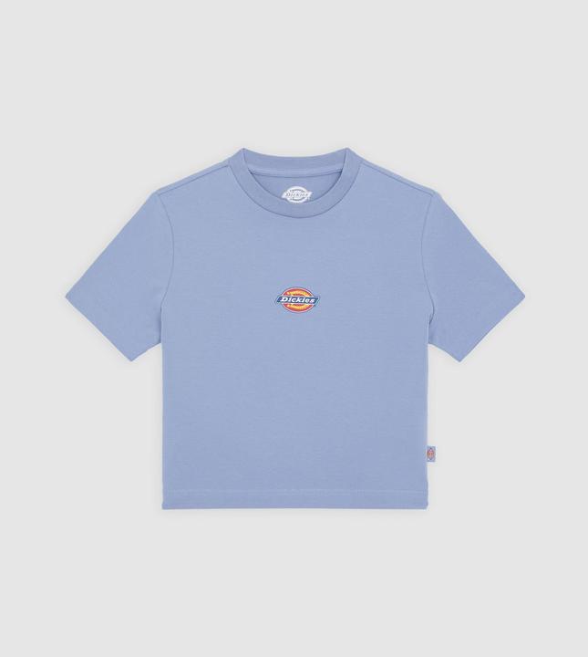 Dickies Maple Valley Tee Country Blue
