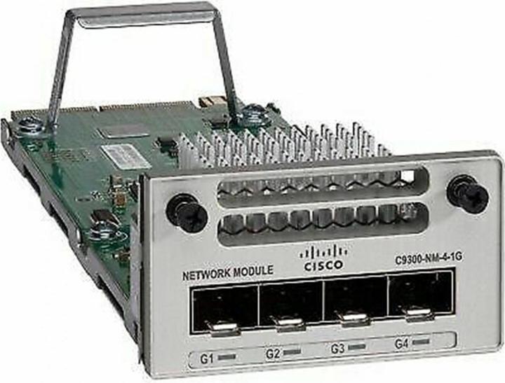 Cisco C9300-NM-4G: 4-Port Interface (4 Ports)