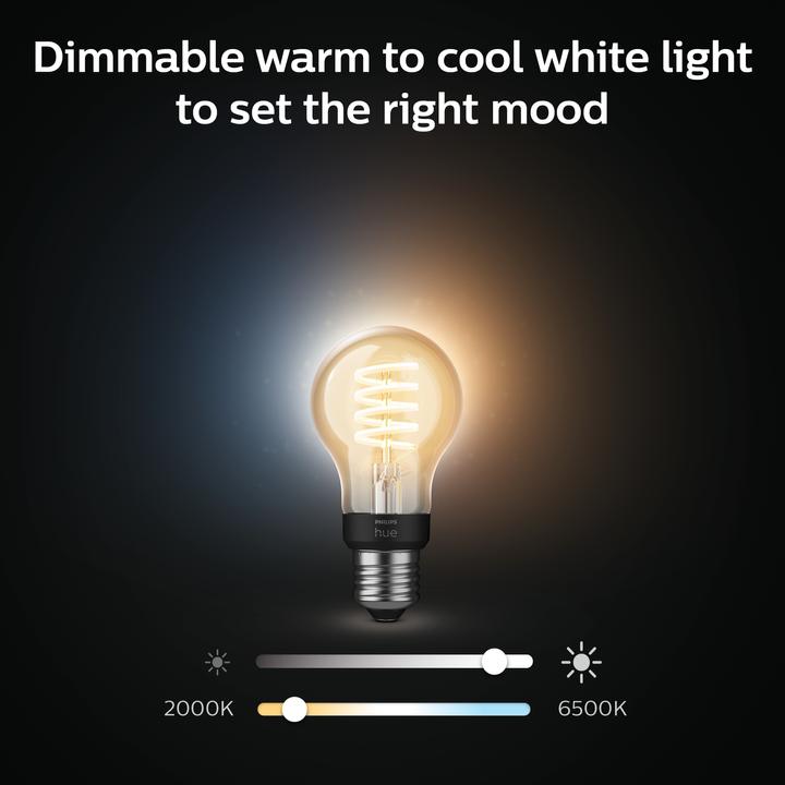 Immagine prodotto Philips Hue Philips E27 Confezione singola di filamenti (E27, 7 W, 550 lm, 1 x, G)