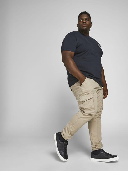 Image du produit Jack & Jones Paul Flake AKM 542 Pantalon Cargo Plus Size (42)