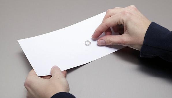 Actual product image Maul Neodymium ring magnet (10 x)