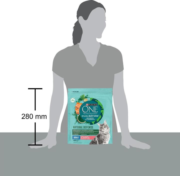 Image du produit Purina ONE 8445290163233 (Adulte, 1 pcs, 650 g)