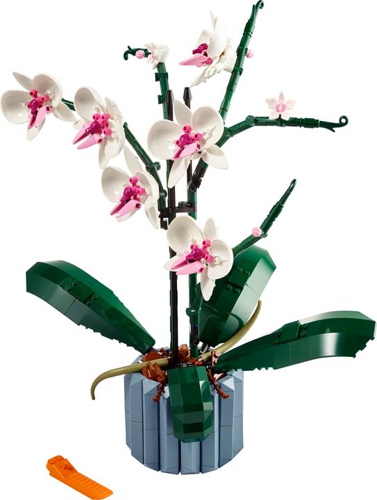 Produktbild LEGO Orchidee (10311, LEGO Botanical)
