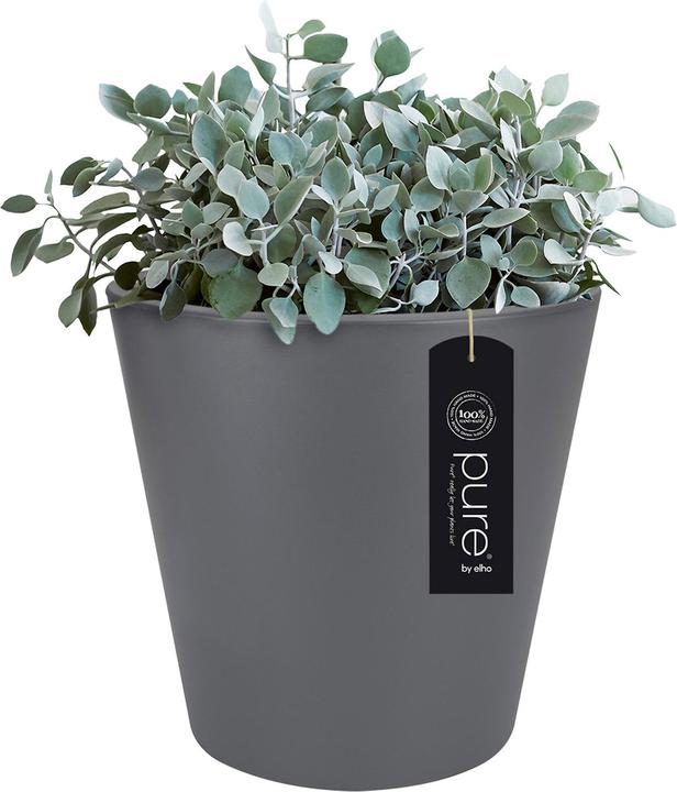 Actual product image Elho Planter Pure straight round plastic 65 H 68,5 cm anthracite (64 cm)