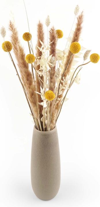 Image du produit Geschenkkörbe CH Bouquet de fleurs séchées "Craspedia (Fleurs séchées)