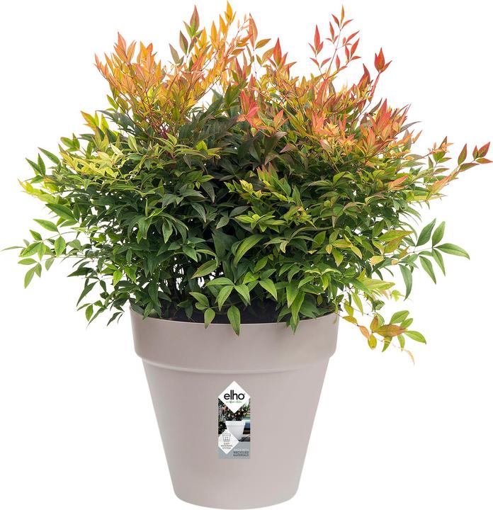 Immagine prodotto Elho Loft urbano (24 cm)