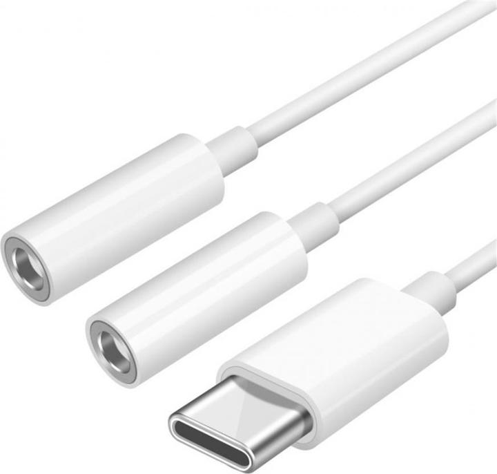 PowerGuard USB-C to 2x 3.5mm Headphone Jack AUX Cable (3.5mm jack, 3.5mm jack)