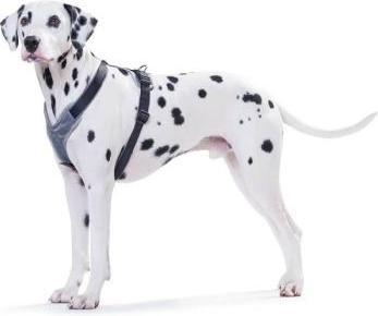 Produktbild Hunter Geschirr Neopren für Hunde Schwarz M/2 (2, M, Hund, Allgemein)