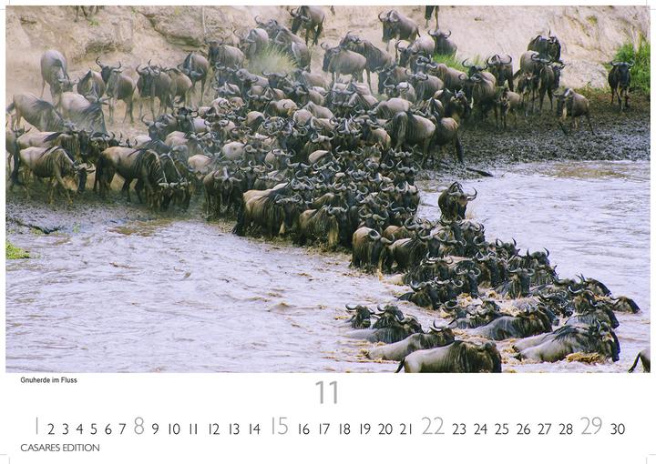 Produktbild Kenia/Serengeti 2026 S 24x35 cm (24 x 35 cm, Deutsch)