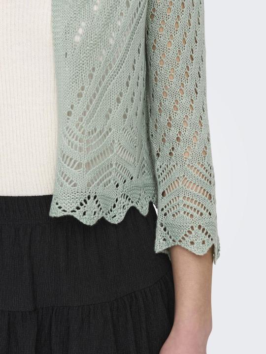 Image du produit JdY Cardigan cropped (L)