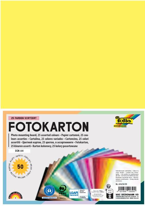 Immagine prodotto Folia Cartoncino fotografico, DIN A4, 300 g/mq, 25 colori assortiti (300 g/m², 50 x)