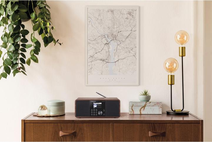 Actual product image Telestar Dira S24i (DAB+, Web radio, FM, VHF, Bluetooth, Wi-Fi)