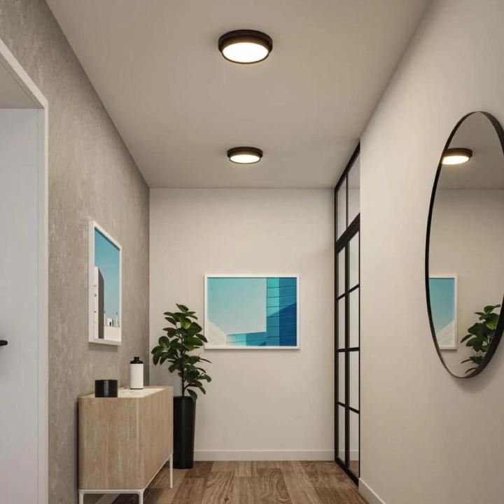 Actual product image Paulmann Malik ceiling light (850 lm)