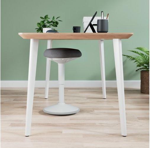 Image du produit Leitz Ergo Active
