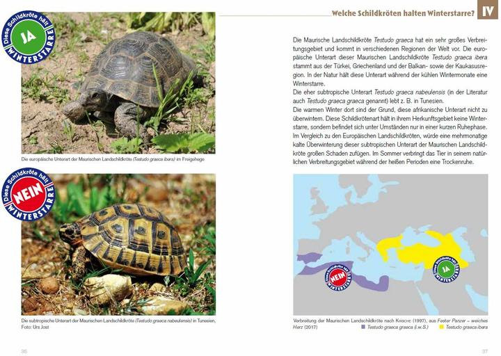 Actual product image Winterstarre bei Europäischen Landschildkröten (German, Thorsten Geier, 2017)
