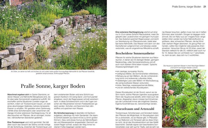 Immagine prodotto Welche Pflanze passt wohin im Naturgarten? (Tedesco, Paula Polak, 2020)