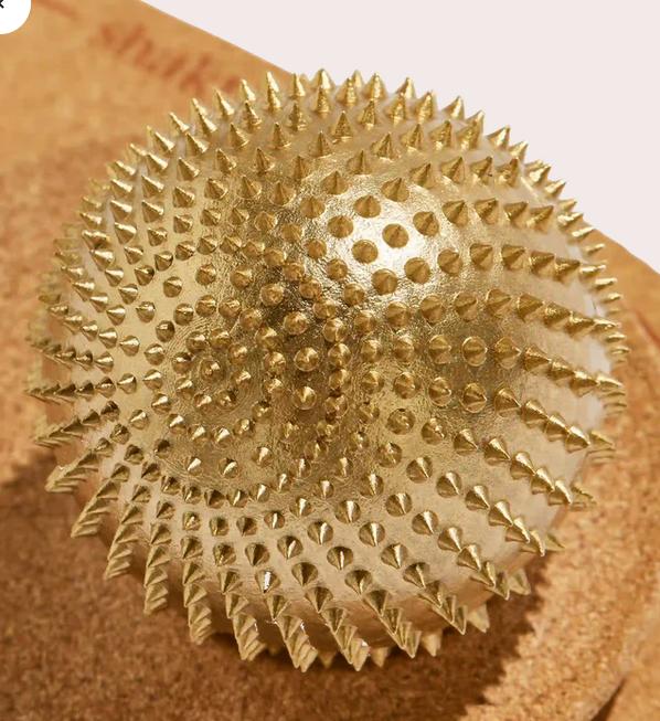 Produktbild Shakti Spiky Ball