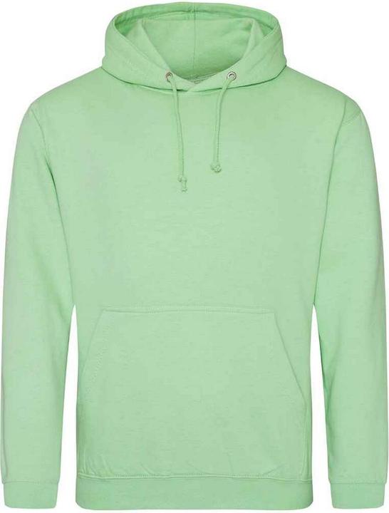 Image du produit Awdis - Sweat à capuche COLLEGE - Adulte (XL)
